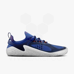 Men's Vivobarefoot Motus Strength Training Shoes Blue / Navy / Orange | IL353XG